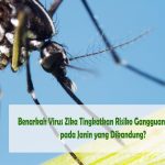 Virus Zika Tingkatkan Risiko Gangguan Pendengaran pada Janin yang Dikandung?